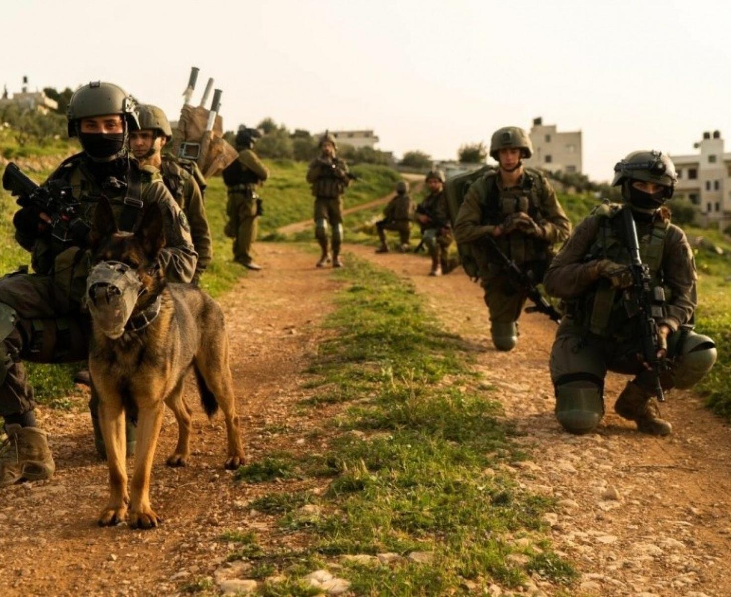 مناورة عسكرية.jpeg