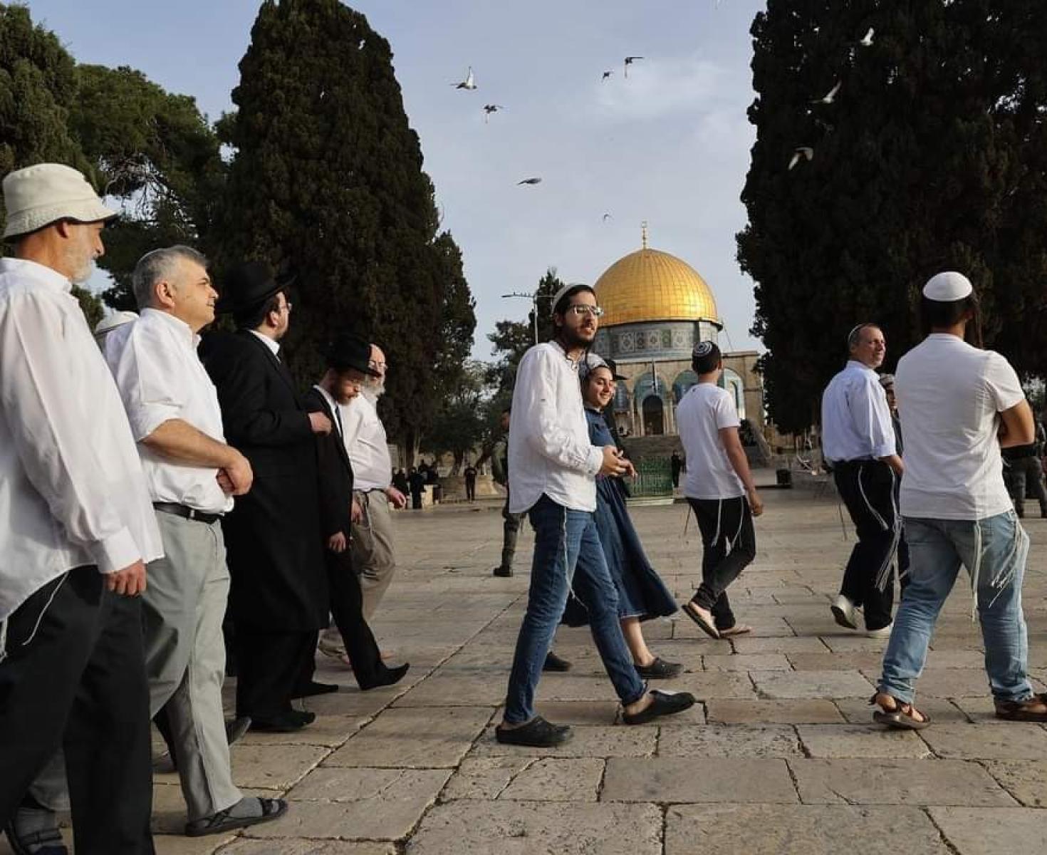 اقتحام الاقصى