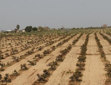 اراضي المندوب.jpeg