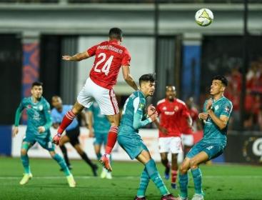 بث مباشر مشاهدة مباراة الاهلي والرجاء الرياضي في دوري أبطال أفريقيا يلا شوت الان