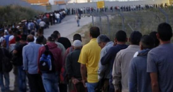 تصاريح عمال.jpg