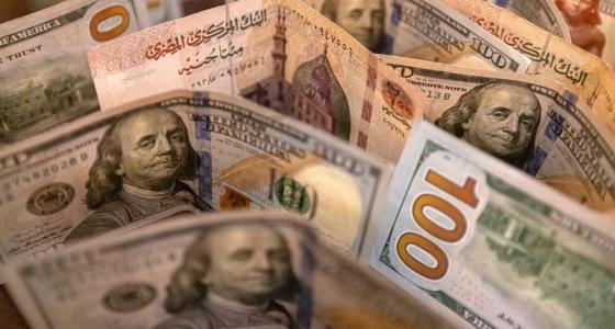 الدولار مقابل الجنيه المصري.jpg