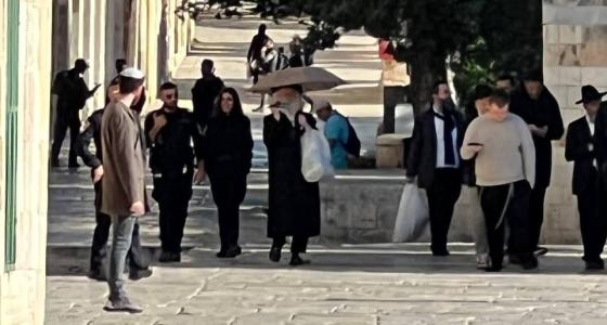 اقتحام الأقصى (5).jpeg