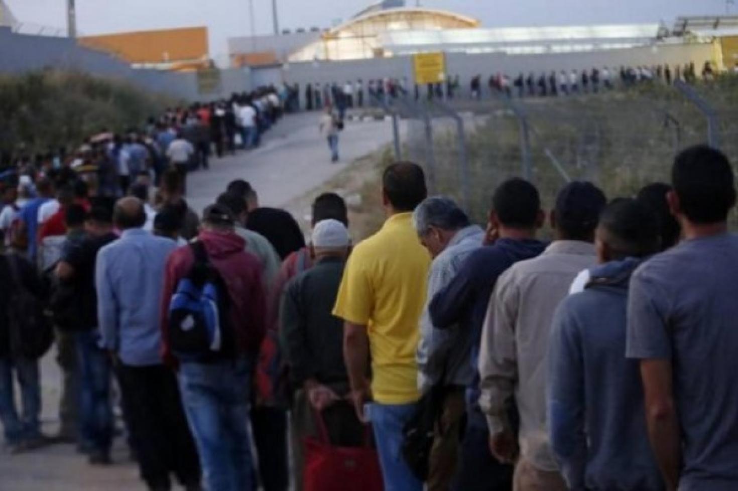 تصاريح عمال.jpg